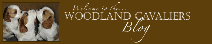 WOODLAND CAVALIERS