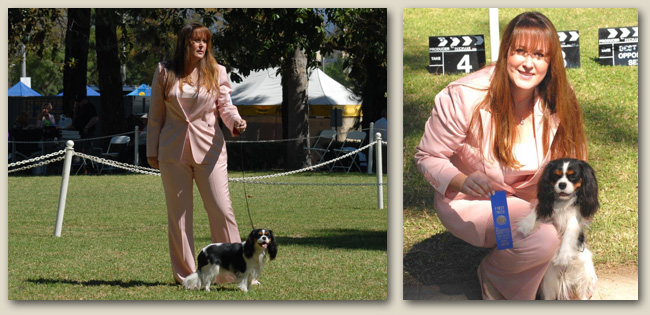 Cavalier Lacey 3