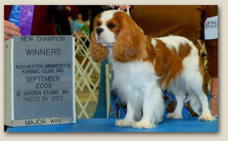 Cavalier Mason 3