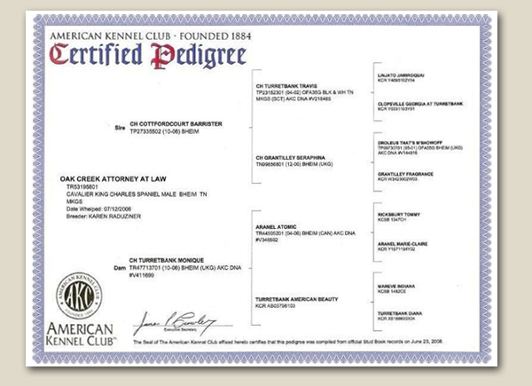 Cavalier Mason Pedigree