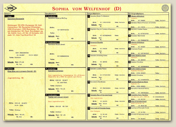 Cavalier Sophia Pedigree
